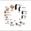 What Types of Hearing Aids available in the world ?